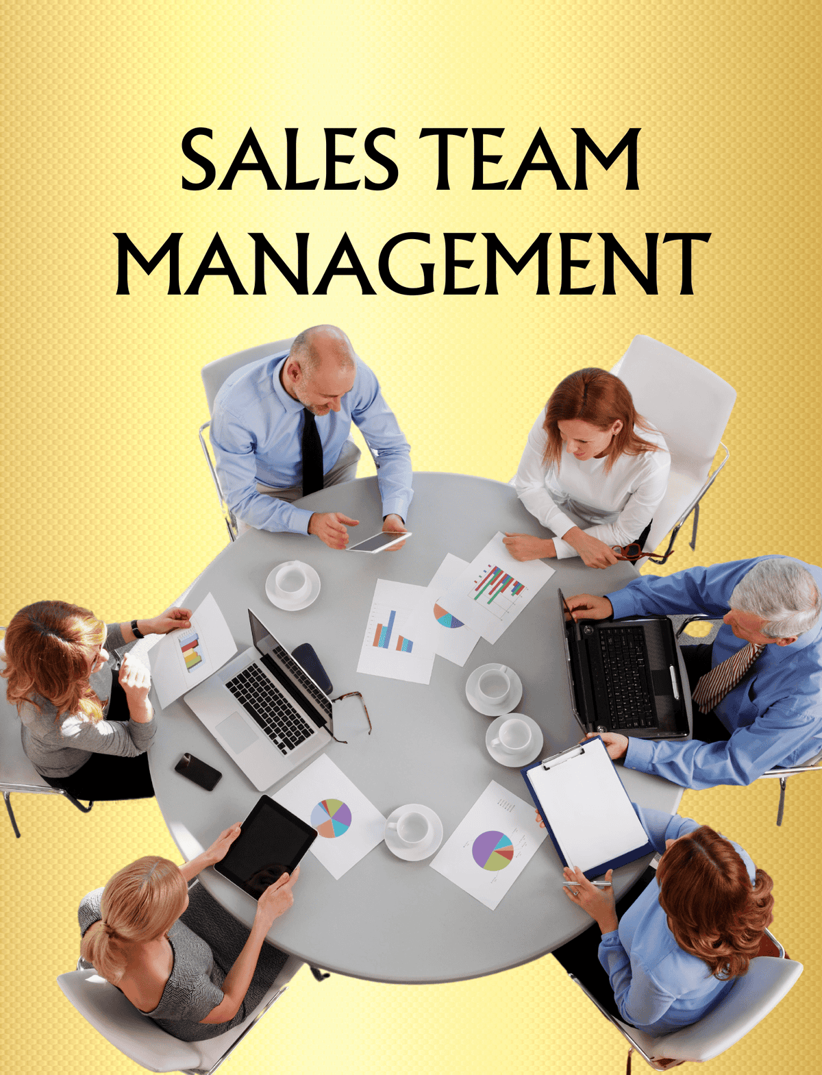 SALES TEAM MANAGEMENT